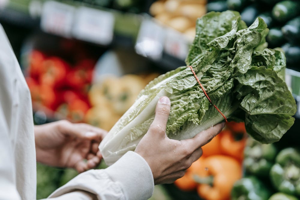 Food & Grocery Costs in Ajman