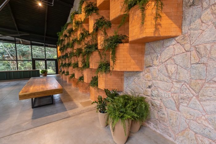 ndoor plants and natural wood tones in an Ajman apartment interior